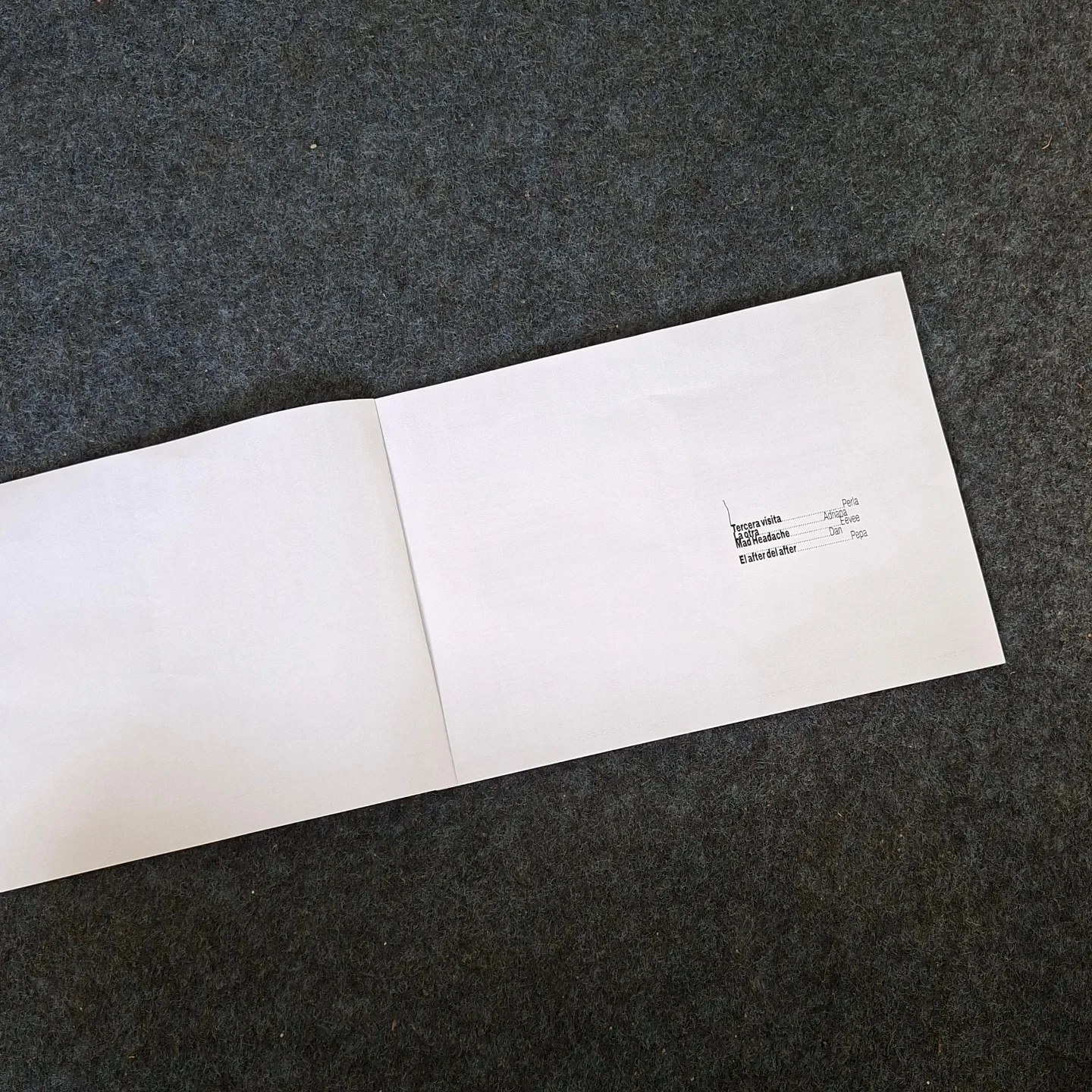 The Death of a Cosmic Ray — Anthology of Death Poems, Galerie Podchod, 2025. Dan Aparicio: Text curation (image 2)